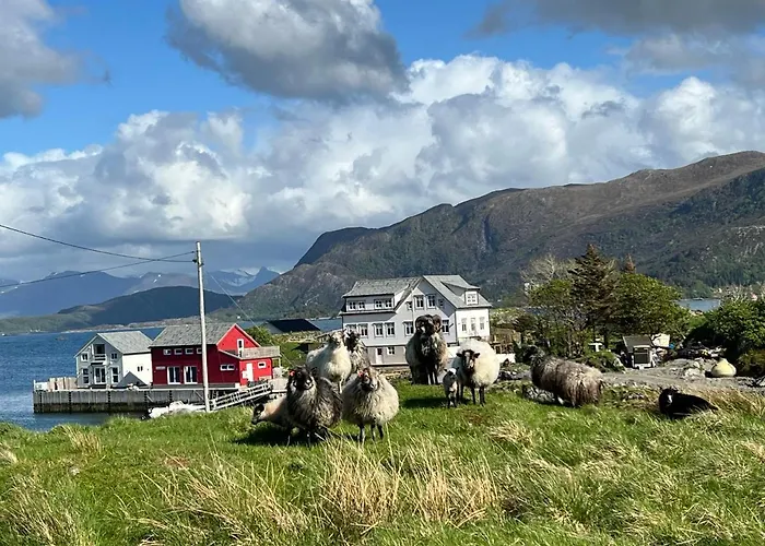 Apartment Torvholmen