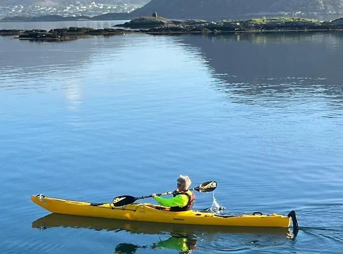 Torvholmen Apartment