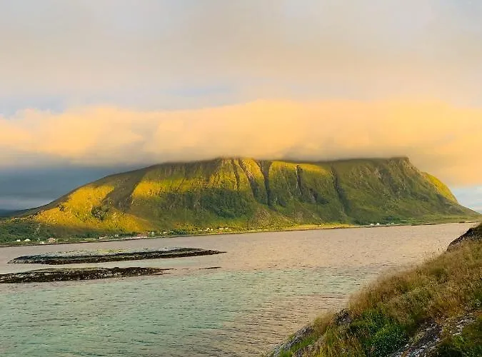 Torvholmen Apartment Fosnavåg