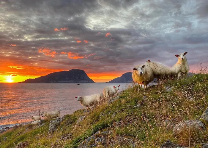 Torvholmen Fosnavåg