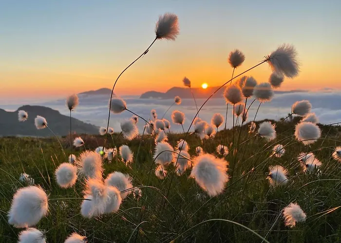 Apartment Torvholmen *